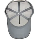 siltovka-zaoblena-siva-snapback-eye-of-the-tiger-the-farm-goorin-bros