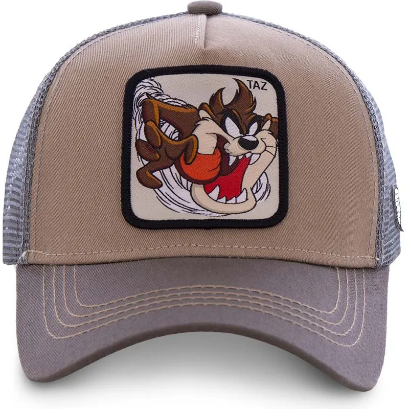 siltovka-zaoblena-hneda-snapback-tasmansky-diabol-looney-tunes-capslab