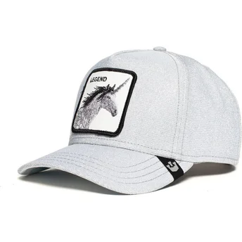 siltovka-zaoblena-siva-snapback-purpurina-believer-the-farm-goorin-bros