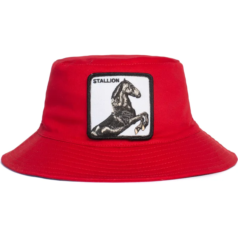 vedra-cervena-stallion-im-a-little-hoarse-the-farm-goorin-bros