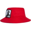vedra-cervena-stallion-im-a-little-hoarse-the-farm-goorin-bros