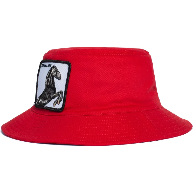 vedra-cervena-stallion-im-a-little-hoarse-the-farm-goorin-bros