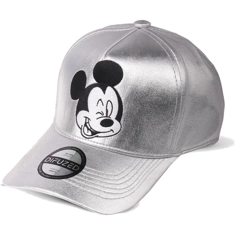siltovka-zaoblena-siva-snapback-plateada-difuzed