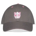 siltovka-zaoblena-siva-snapback-rosa-difuzed