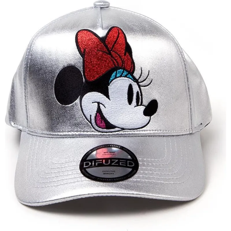 siltovka-zaoblena-siva-snapback-plateada-difuzed