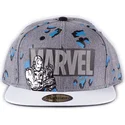 siltovka-rovna-siva-snapback-true-power-difuzed