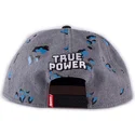 siltovka-rovna-siva-snapback-true-power-difuzed