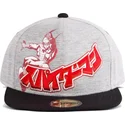 siltovka-rovna-siva-snapback-japanese-difuzed