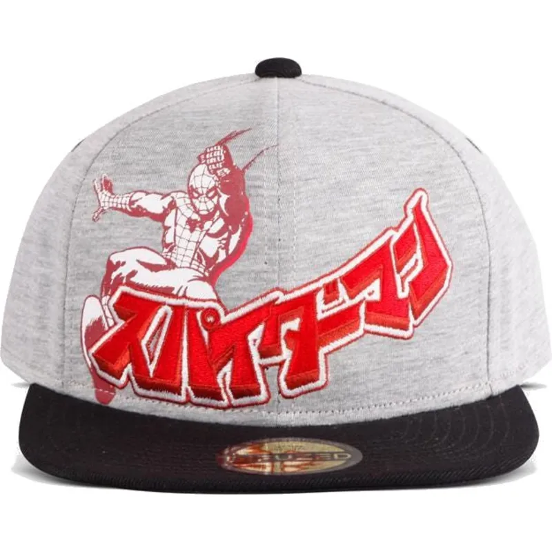 siltovka-rovna-siva-snapback-japanese-difuzed siltovka-rovna-siva-snapback-japanese-difuzed