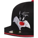 siltovka-rovna-cierna-snapback-space-jam-difuzed