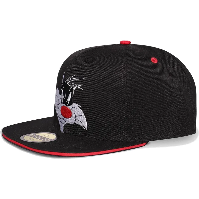 siltovka-rovna-cierna-snapback-space-jam-difuzed siltovka-rovna-cierna-snapback-space-jam-difuzed