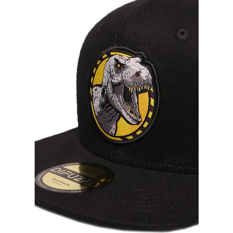 siltovka-rovna-cierna-snapback-difuzed