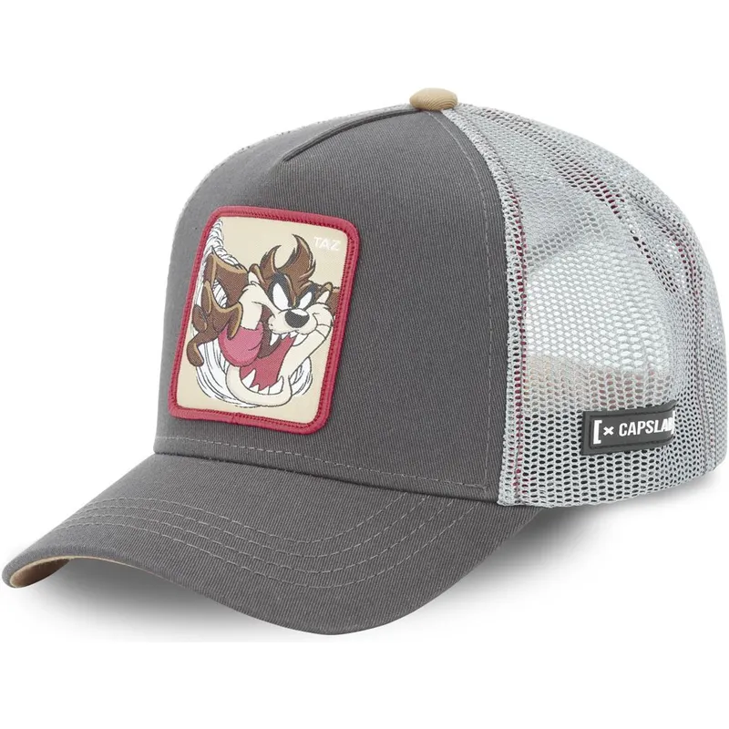 siltovka-zaoblena-siva-snapback-tasmansky-diabol-looney-tunes-capslab