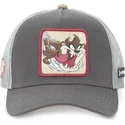 siltovka-zaoblena-siva-snapback-tasmansky-diabol-looney-tunes-capslab