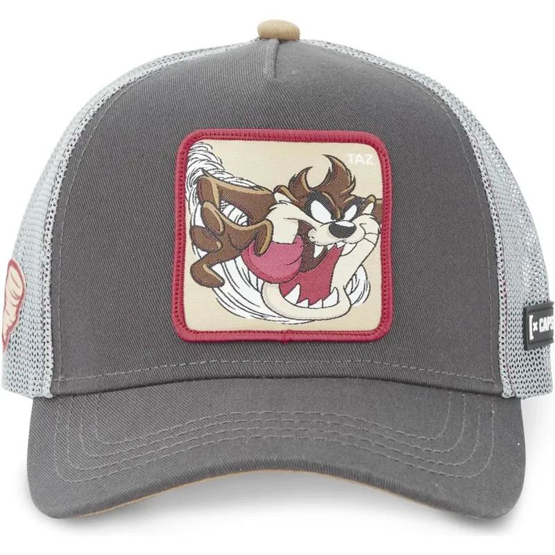 siltovka-zaoblena-siva-snapback-tasmansky-diabol-looney-tunes-capslab