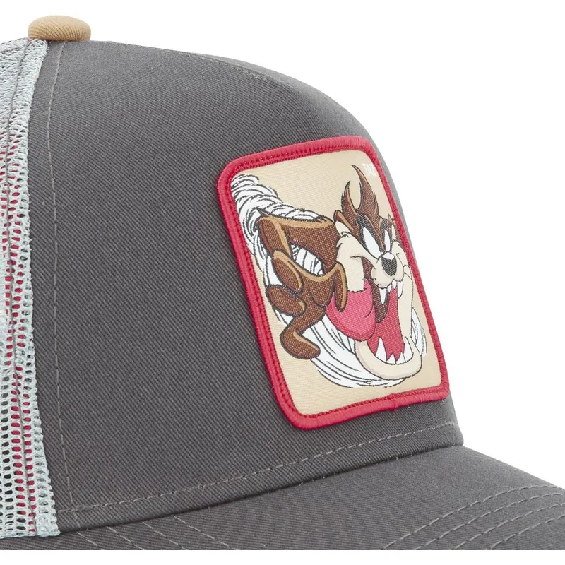 siltovka-zaoblena-siva-snapback-tasmansky-diabol-looney-tunes-capslab