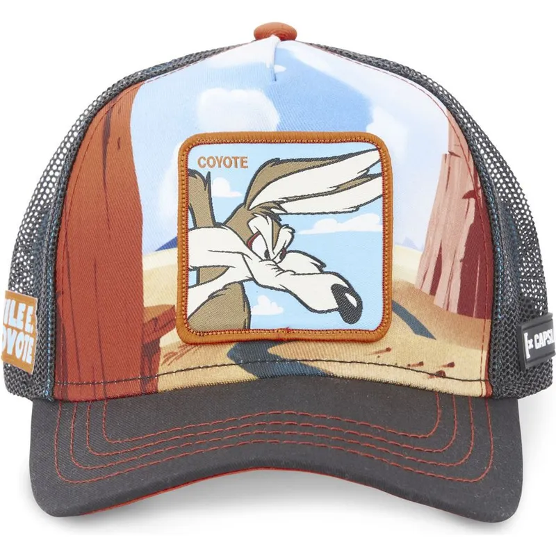 siltovka-zaoblena-viacfarebna-snapback-loo5-coy2-kojot-looney-tunes-capslab