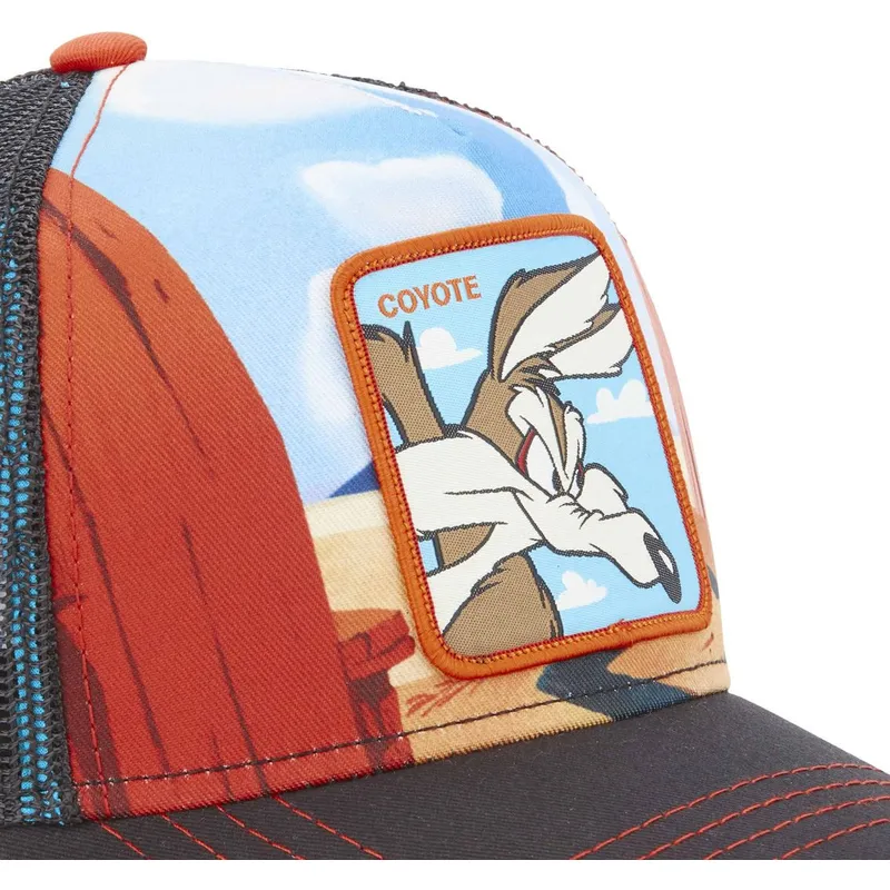 siltovka-zaoblena-viacfarebna-snapback-loo5-coy2-kojot-looney-tunes-capslab