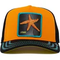 cap-zaoblena-orange-snapback-estrella-mar-baby-i-m-a-star-the-farm-the-farm-de-goorin-bros