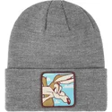 ciapky-siva-coyote-bon-coy2-looney-tunes-kojot-looney-tunes-capslab