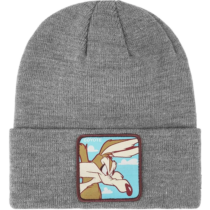 ciapka-siva-bon-coy2-kojot-looney-tunes-capslab