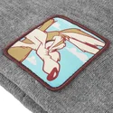 cap-gray-coyote-looney-tunes-capslab