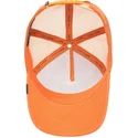 cap-zaoblena-orange-snapback-the-farm-de-goorin-bros