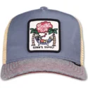 cap-zaoblena-gray-snapback-djinns
