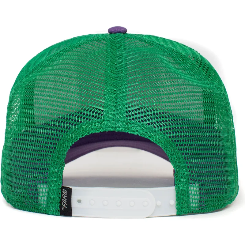 siltovka-zaoblena-viacfarebna-snapback-ass-donkey-trip-the-farm-goorin-bros
