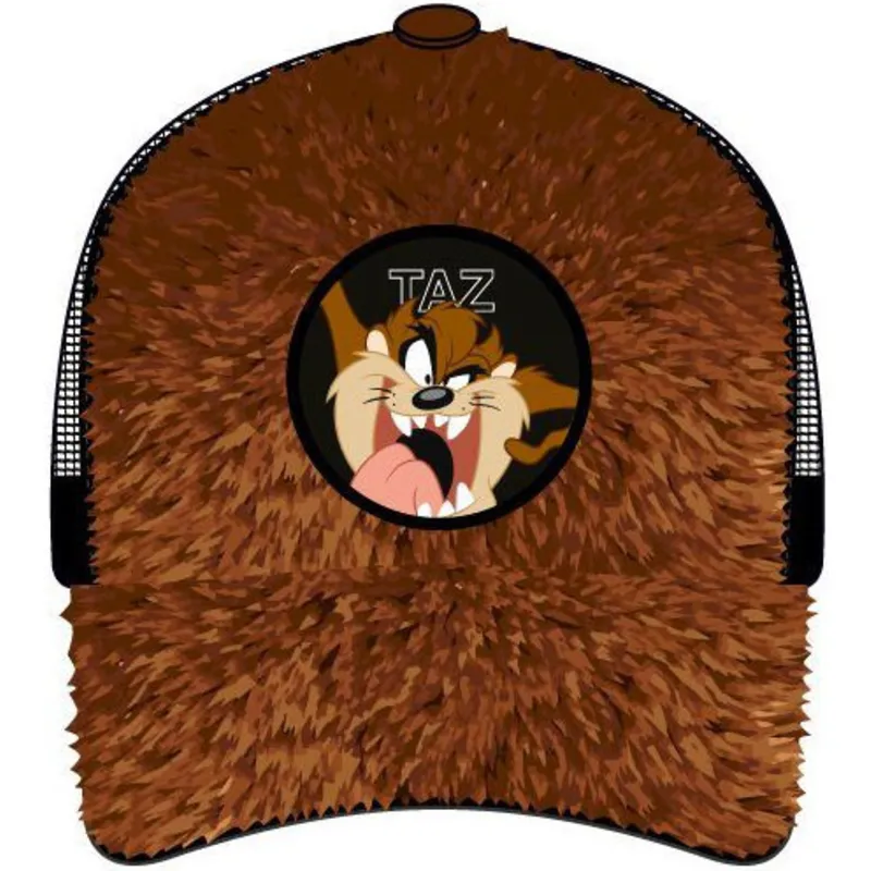 siltovka-zaoblena-hneda-snapback-tasmansky-diabol-looney-tunes-capslab