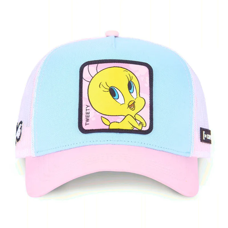 siltovka-zaoblena-modra-snapback-loo8-twe1-tweety-looney-tunes-capslab