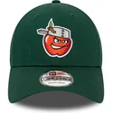 verstellbare-grune-9forty-kappe-mit-gebogenem-schirm-der-minor-league-fort-wayne-tincaps-milb-von-new-era