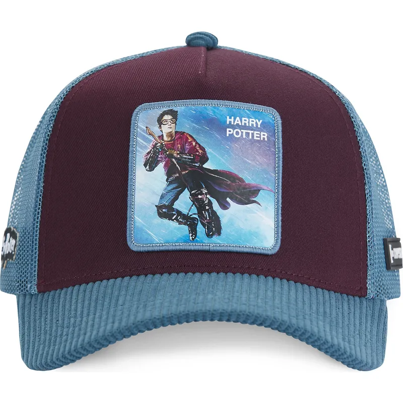 siltovka-zaoblena-viacfarebna-snapback-pot4-harry-potter-capslab