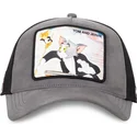 siltovka-zaoblena-siva-snapback-taj5-tom-a-jerry-looney-tunes-capslab