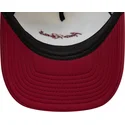 siltovka-zaoblena-viacfarebna-snapback-9forty-a-frame-tom-y-jerry-looney-tunes-new-era