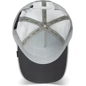 cap-zaoblena-gray-snapback-the-farm-de-goorin-bros