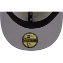 siltovka-rovna-bezova-upravena-59fifty-clr-dvlp-detroit-tigers-mlb-new-era