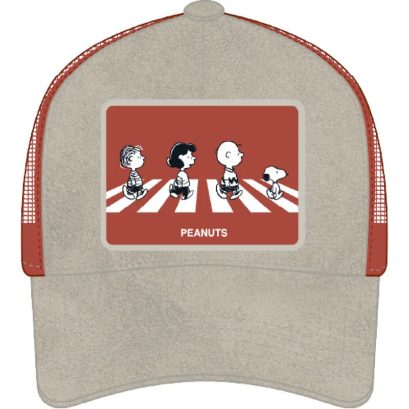 siltovka-zaoblena-siva-snapback-pea5-pea-arasidy-capslab