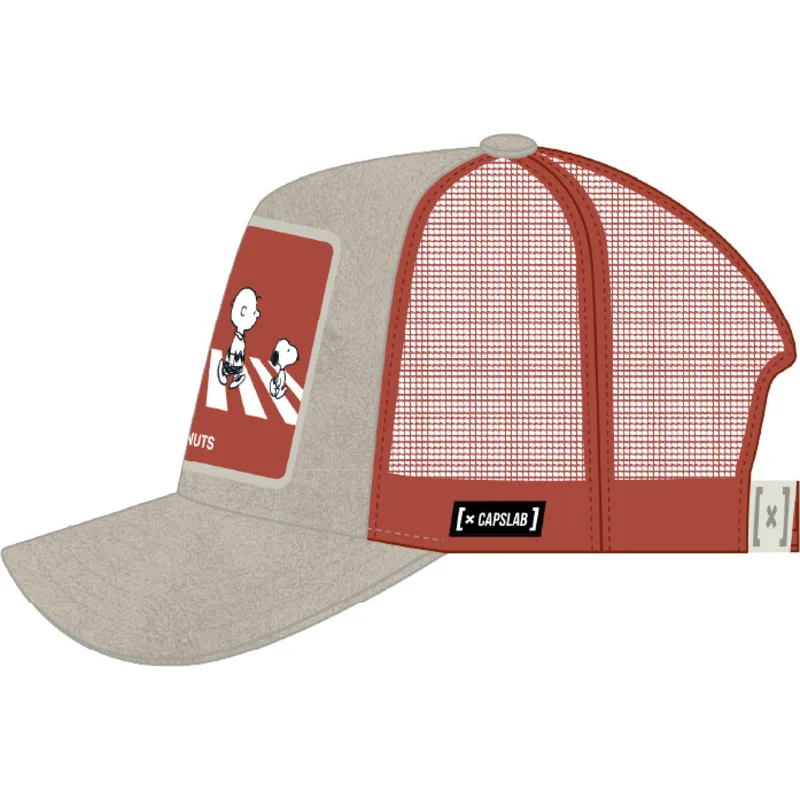 siltovka-zaoblena-siva-snapback-pea5-pea-arasidy-capslab
