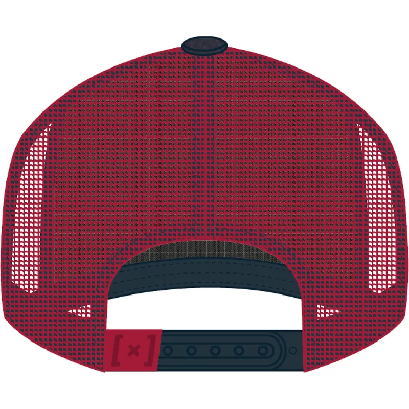 mehrfarbige-trucker-kappe-pct-ast-asterix-der-gallier-von-capslab