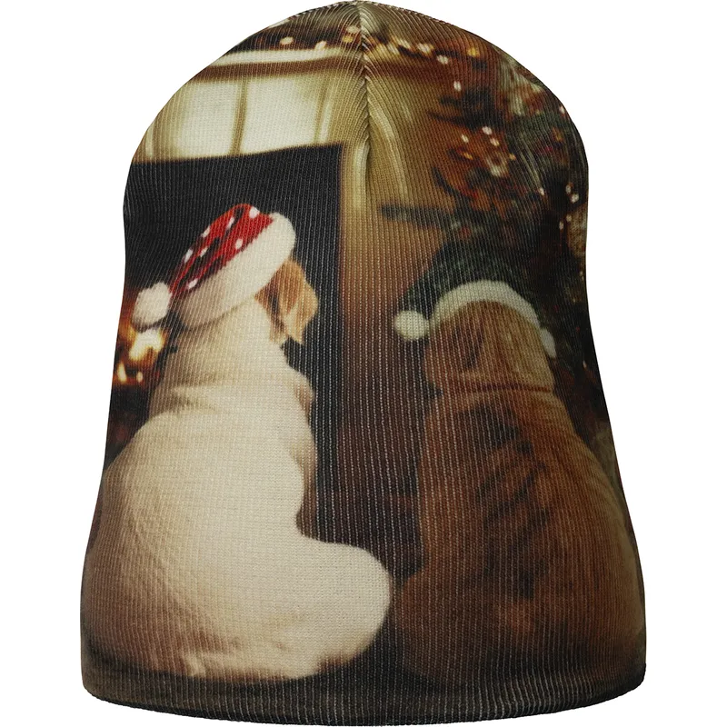 cap-multicolor-kangol