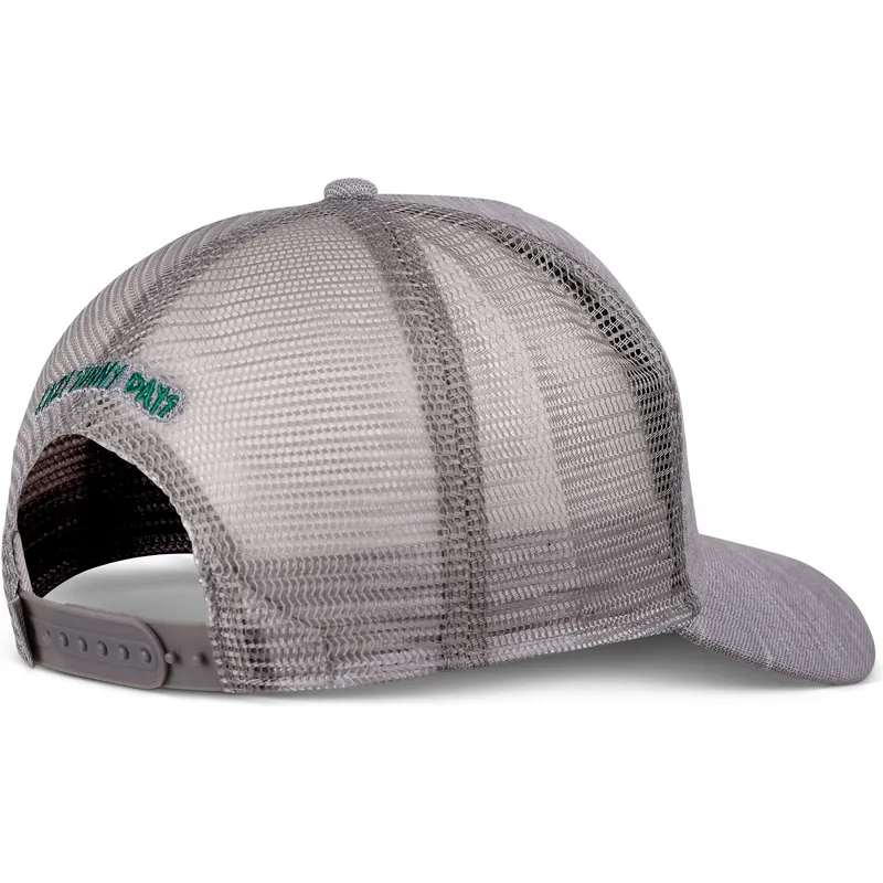 siltovky-zaoblena-kamionista-siva-snapback-hft-lazy-piquet-djinns