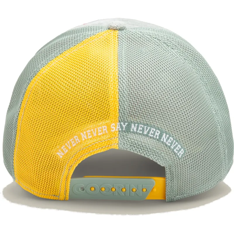 cap-zaoblena-gray-snapback-the-farm-de-goorin-bros