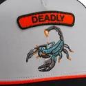 cap-zaoblena-gray-snapback-the-farm-de-goorin-bros