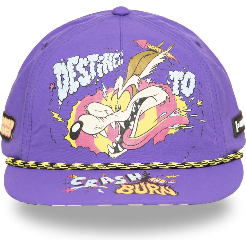siltovka-rovna-fialova-snapback-loo13-dtcb-kojot-looney-tunes-capslab