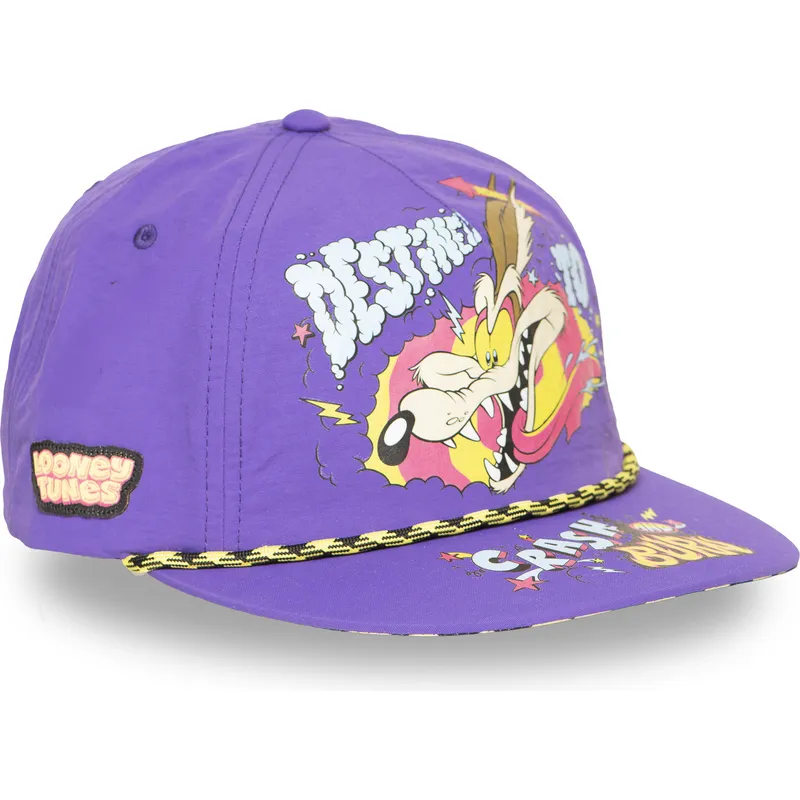 siltovka-rovna-fialova-snapback-loo13-dtcb-kojot-looney-tunes-capslab