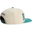 siltovka-rovna-zelena-snapback-across-the-board-anaheim-ducks-nhl-mitchell-ness