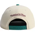 siltovka-rovna-zelena-snapback-across-the-board-anaheim-ducks-nhl-mitchell-ness
