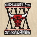 siltovka-rovna-cierna-snapback-across-the-board-chicago-bulls-nba-mitchell-ness