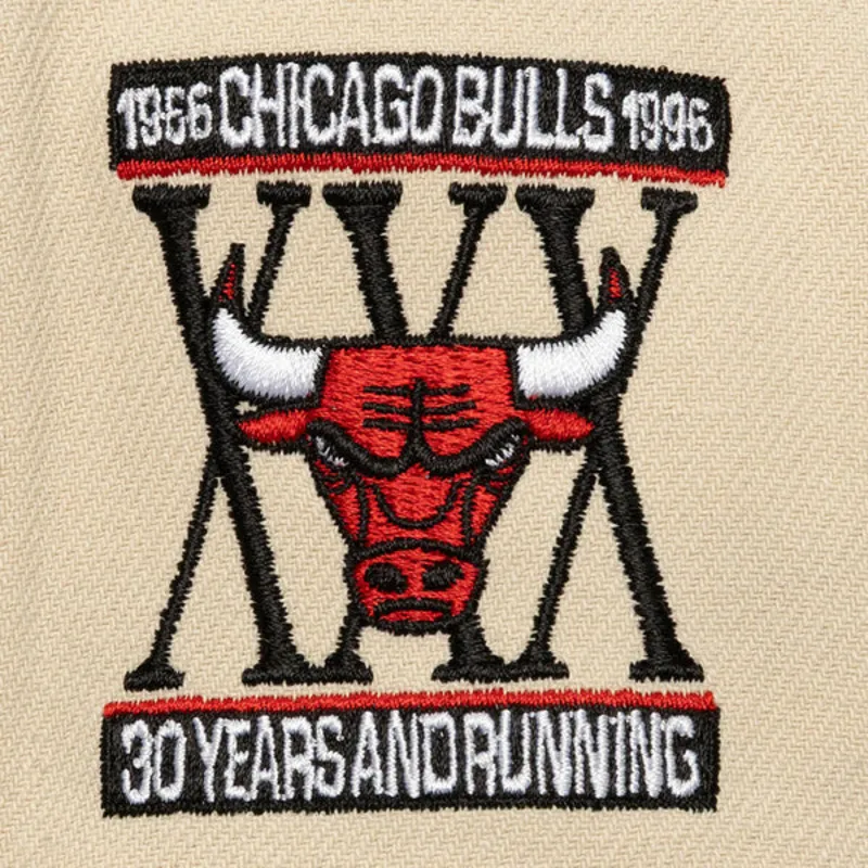 cap-rovna-black-snapback-across-the-board-chicago-bulls-nba-mitchell-ness